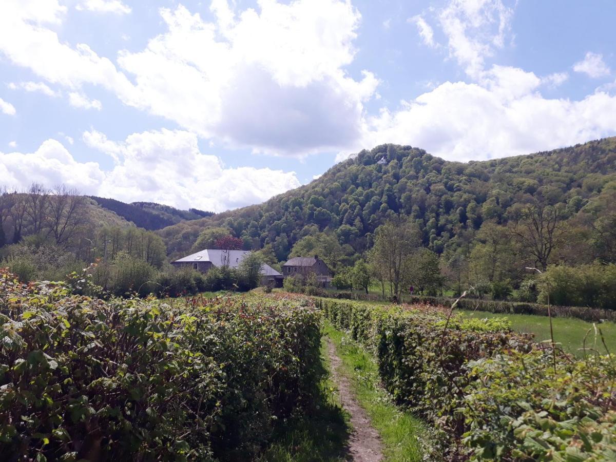 Bed & Breakfast Vallee De L'Ourthe Marcourt Exteriér fotografie